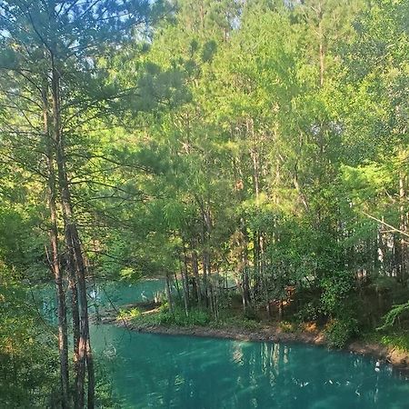Waterfront Treehouse In A Magical Forest Waller Εξωτερικό φωτογραφία