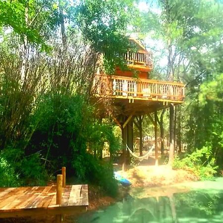 Waterfront Treehouse In A Magical Forest Waller Εξωτερικό φωτογραφία