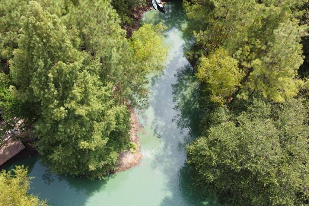 Waterfront Treehouse In A Magical Forest Waller Εξωτερικό φωτογραφία